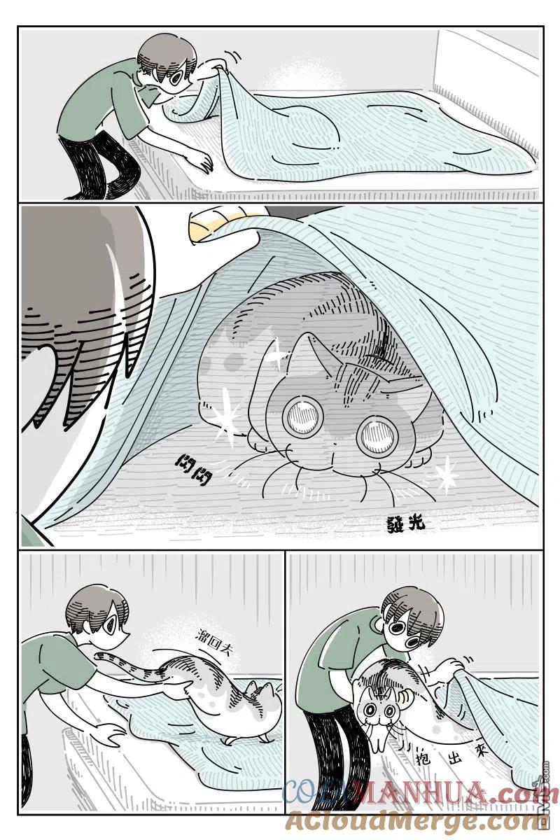 第71话-关于养猫我一直是新手-キュルZ（第1张）