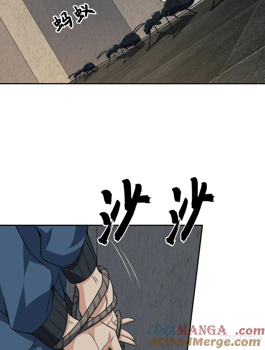 64.jpg