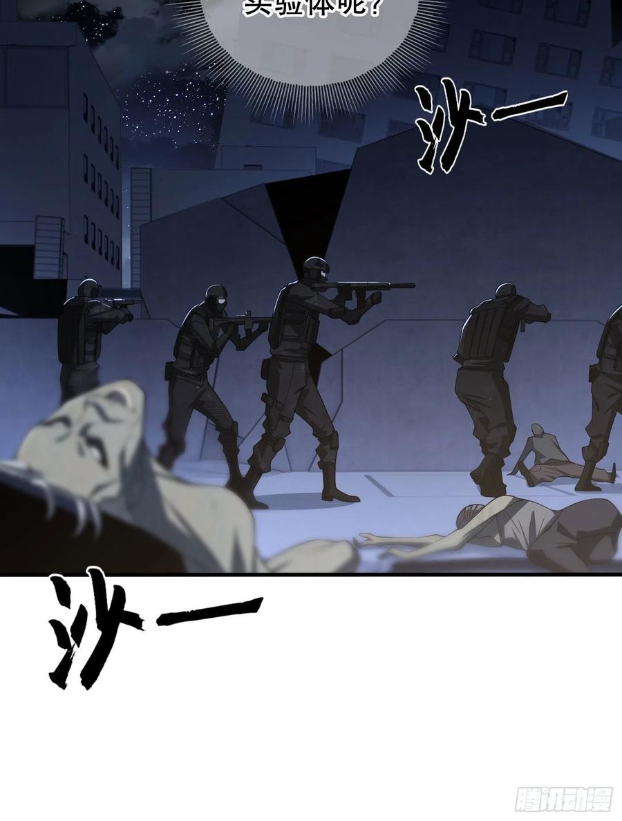 47.jpg