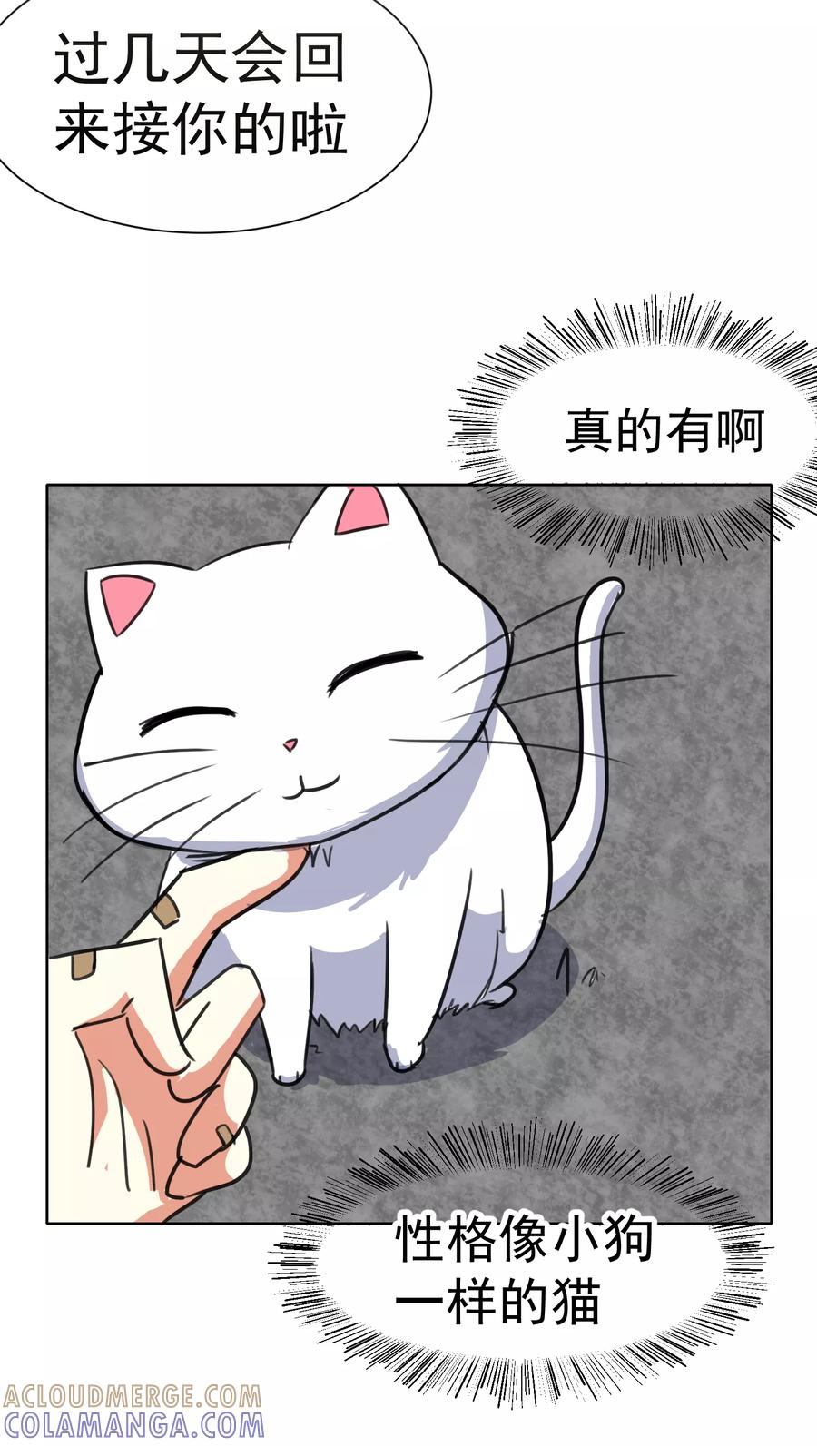 第37话-猫的制作人-极漫文化（第13张）