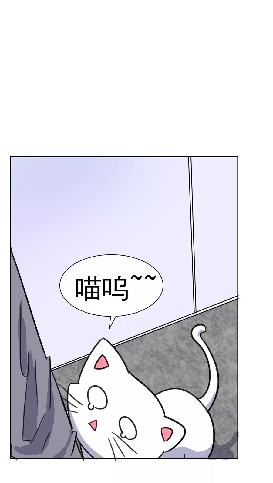 第37话-猫的制作人-极漫文化（第10张）