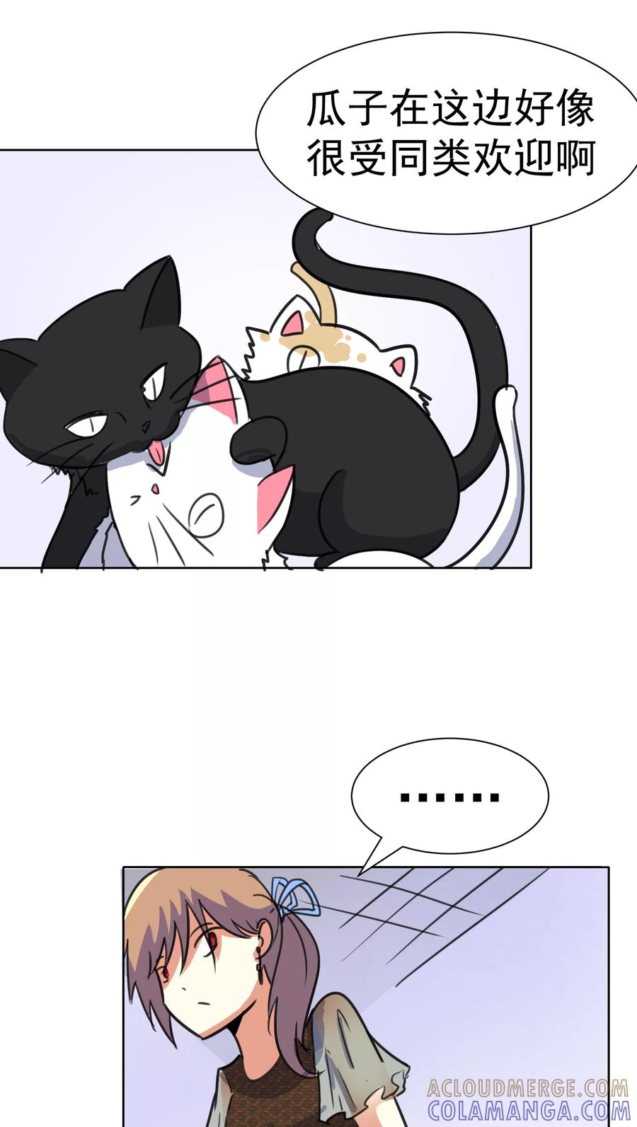 第37话-猫的制作人-极漫文化（第7张）