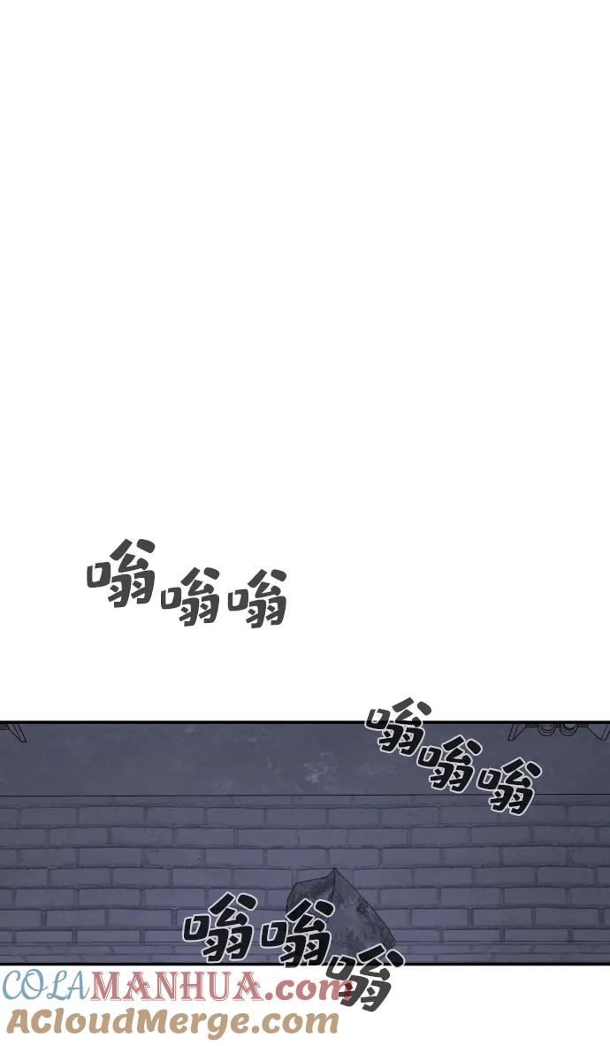 113.jpg