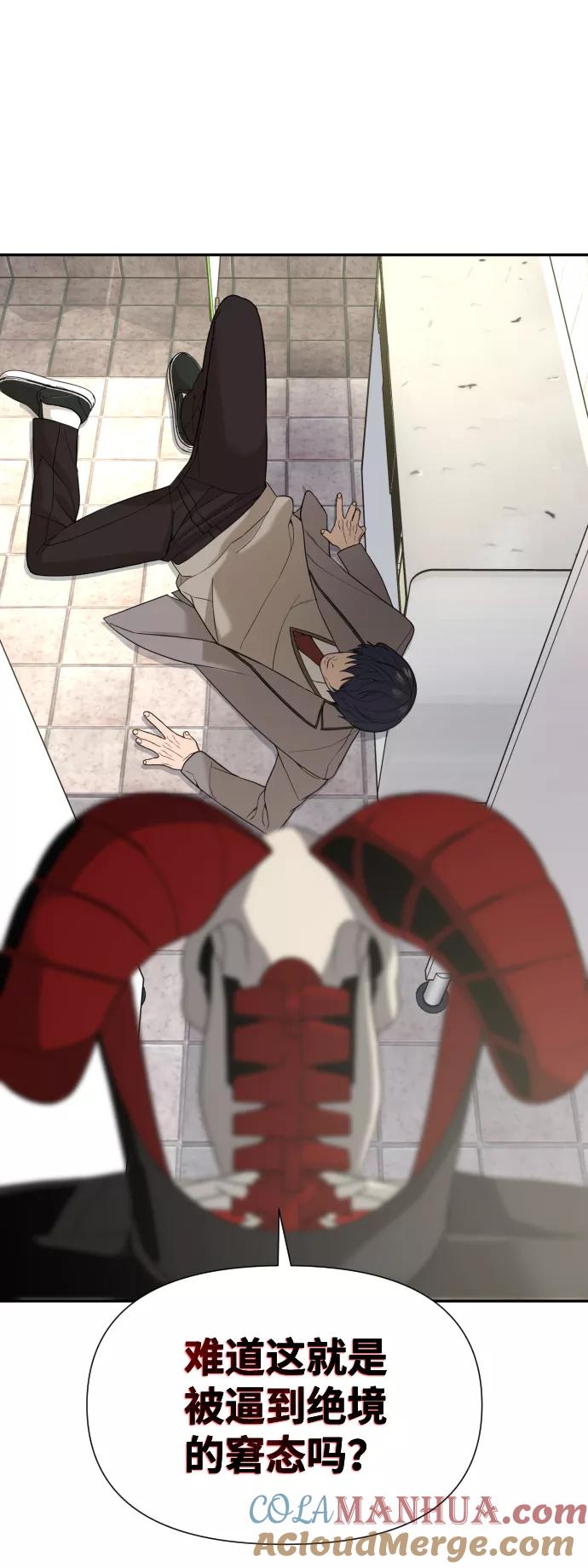 49.jpg