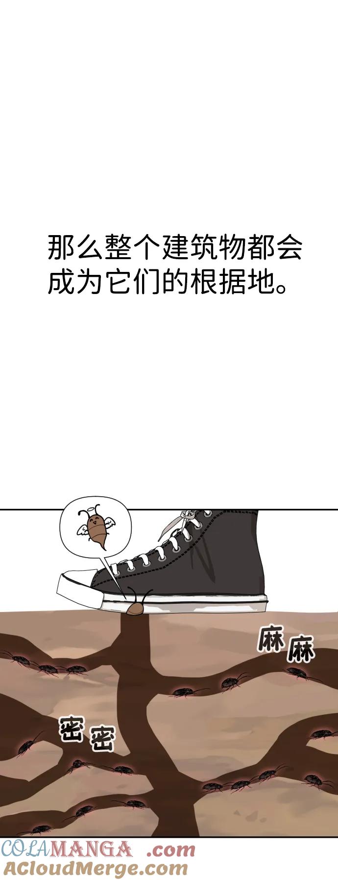 85.jpg