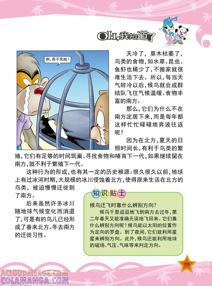 第30话-虹猫蓝兔十万个为什么-虹猫蓝兔（第2张）