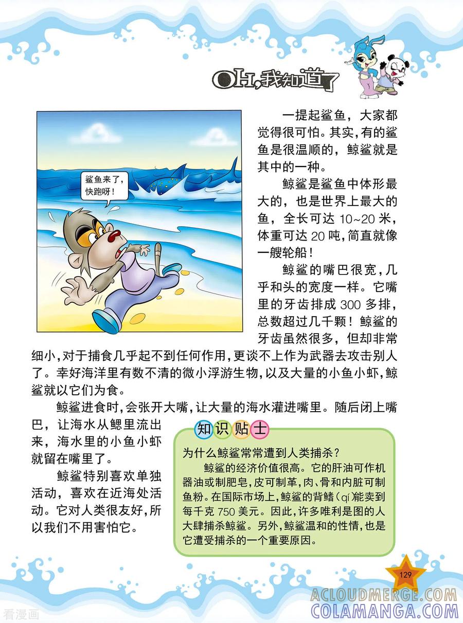 第31话-虹猫蓝兔十万个为什么-虹猫蓝兔（第2张）