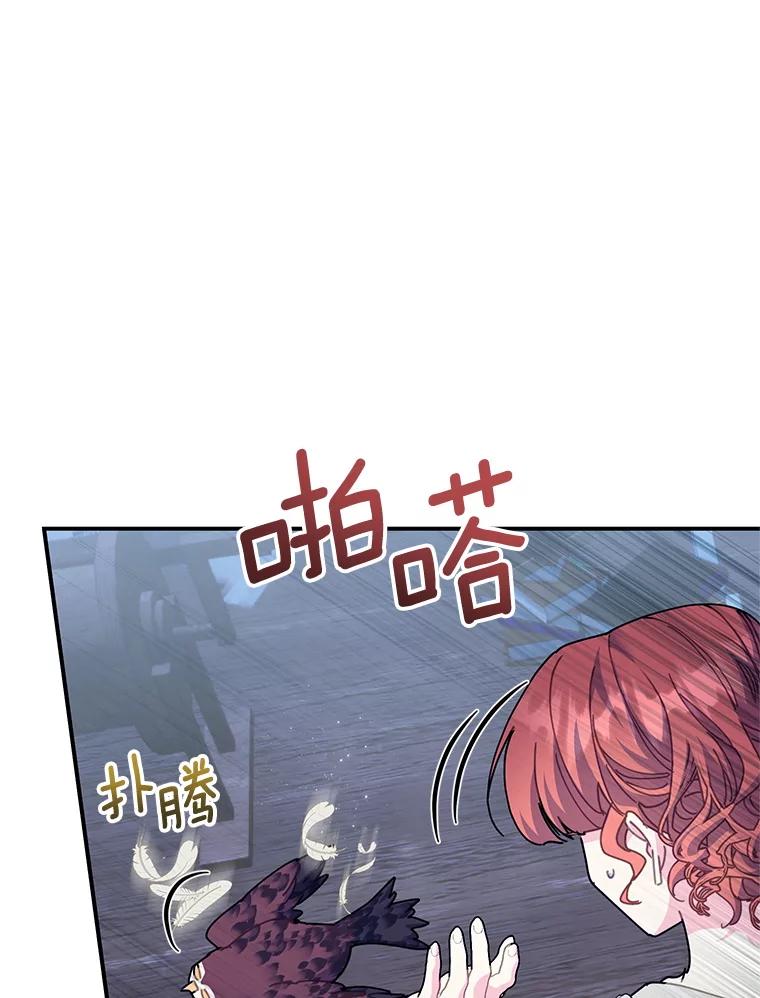 112.被困住的天才-传令鸟公主殿下-SWE ,Coin,hanryui（第13张）