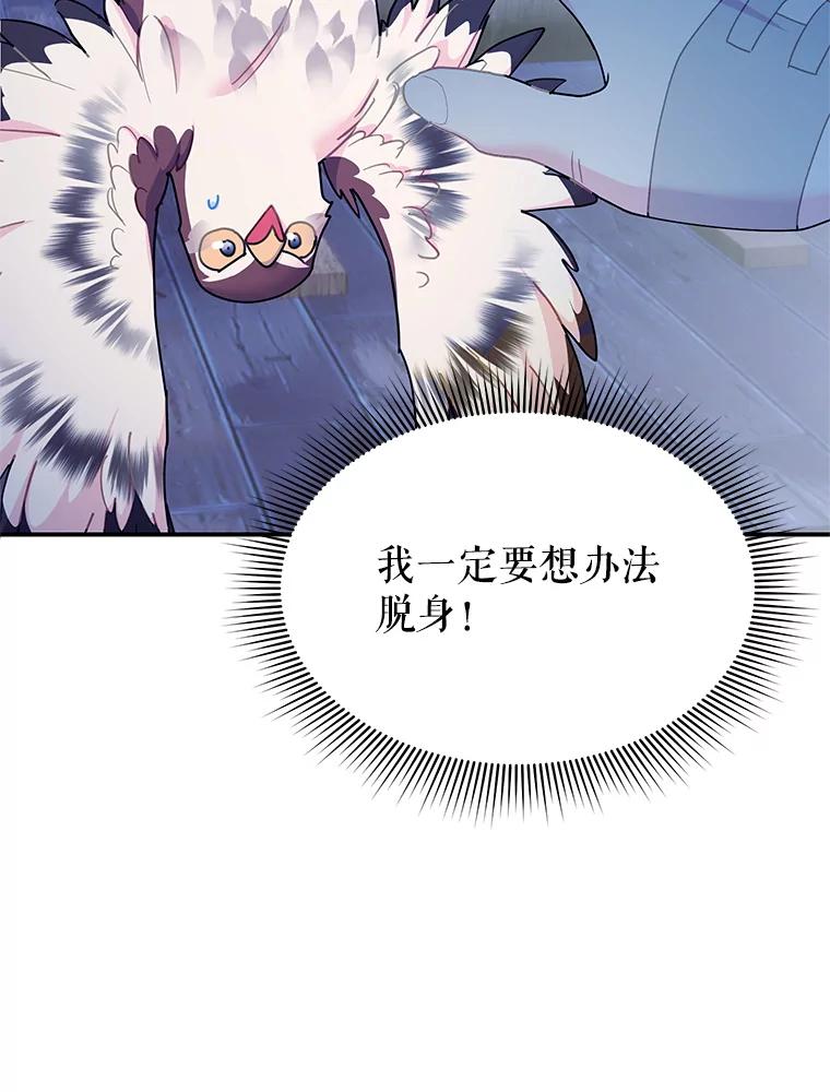 112.被困住的天才-传令鸟公主殿下-SWE ,Coin,hanryui（第1张）