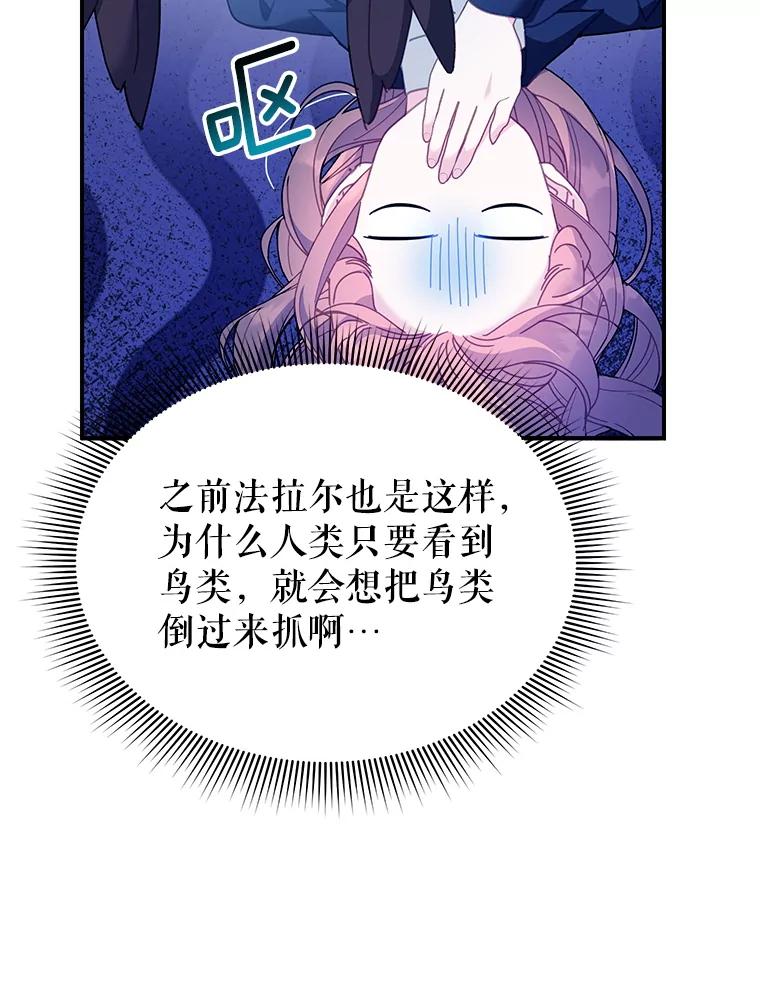 112.被困住的天才-传令鸟公主殿下-SWE ,Coin,hanryui（第11张）