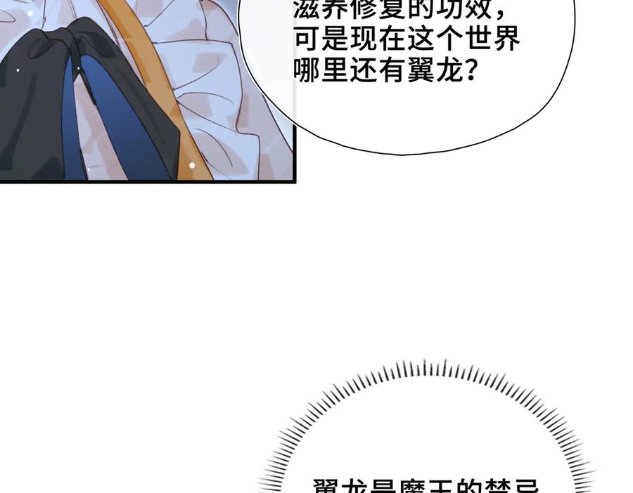 102.jpg