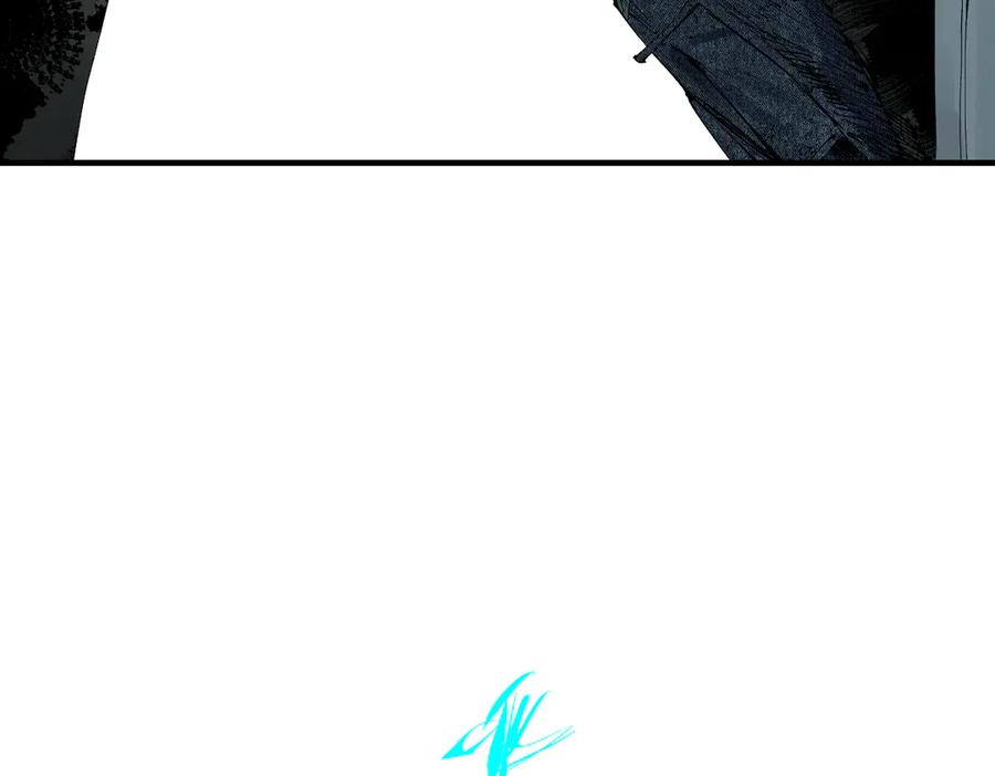 278.jpg