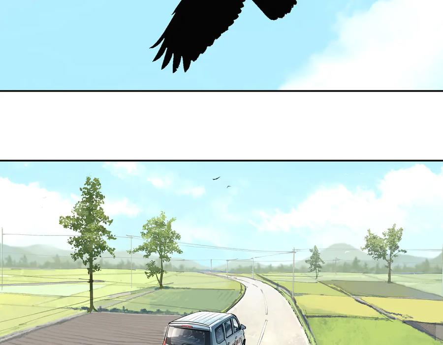 256.jpg