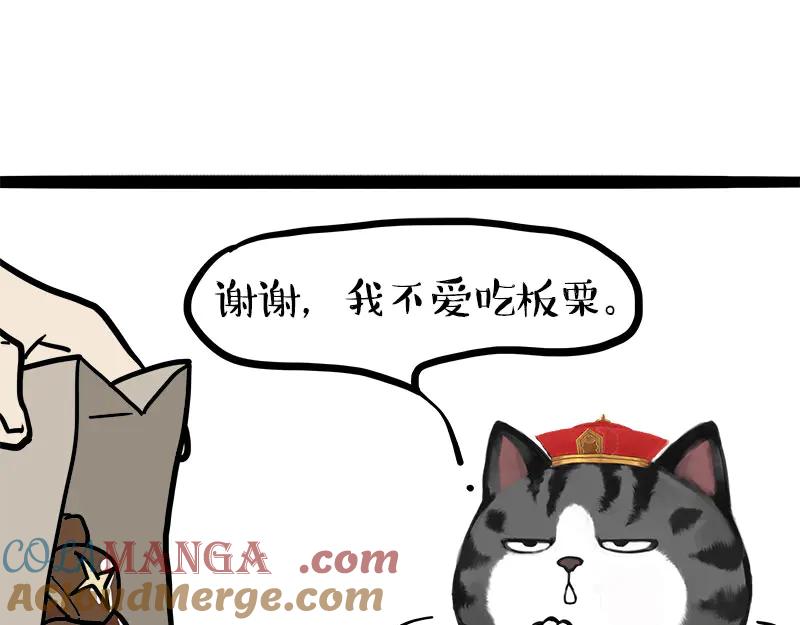 55.jpg