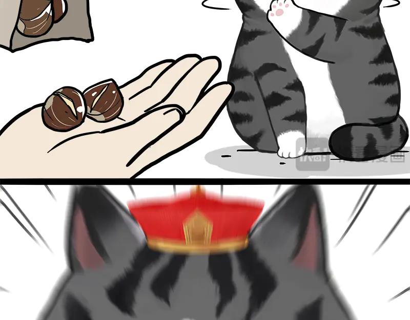 56.jpg