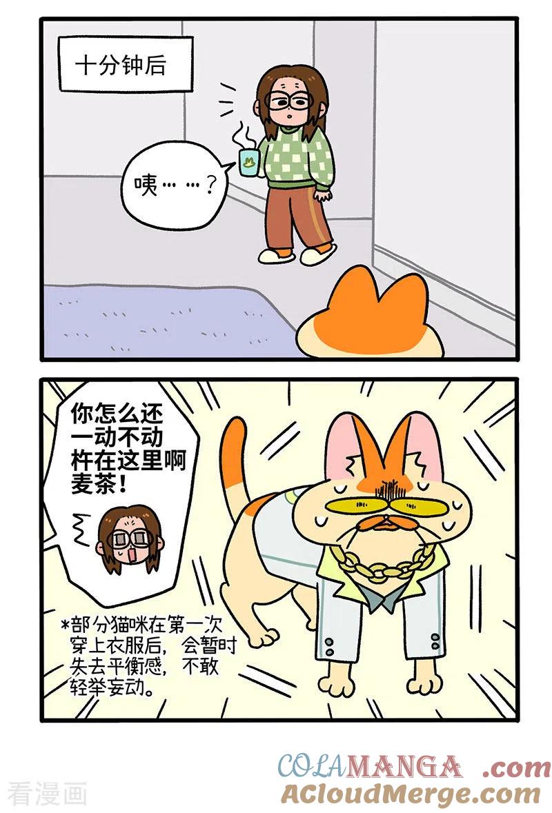 第51话麦茶的新衣-阿满和麦茶-新漫画 日胖大海寺（第4张）
