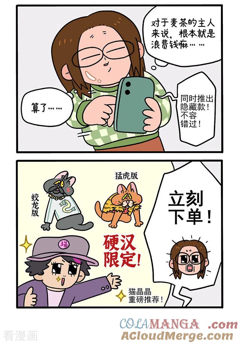 第51话麦茶的新衣-阿满和麦茶-新漫画 日胖大海寺（第2张）
