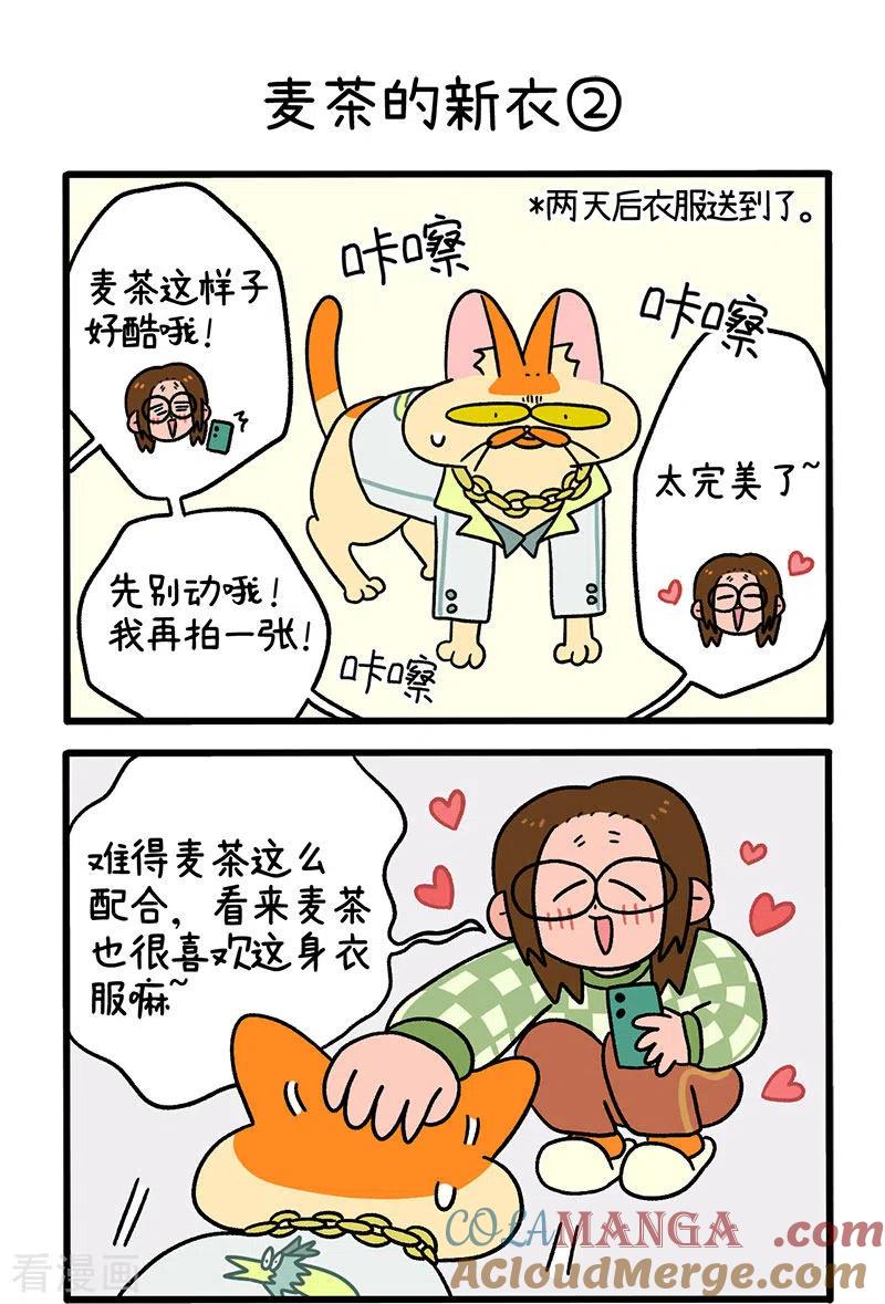 第51话麦茶的新衣-阿满和麦茶-新漫画 日胖大海寺（第3张）