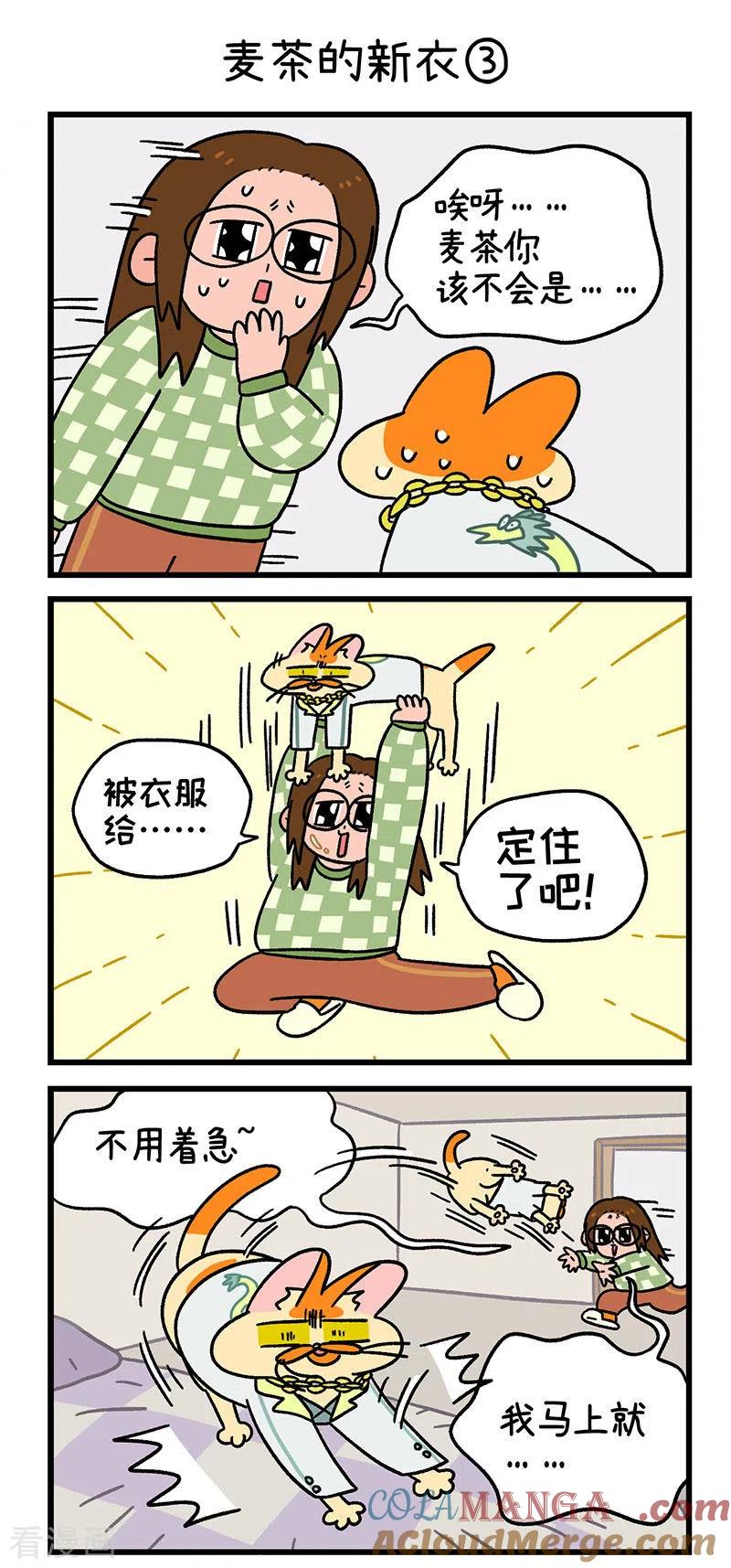 第51话麦茶的新衣-阿满和麦茶-新漫画 日胖大海寺（第5张）