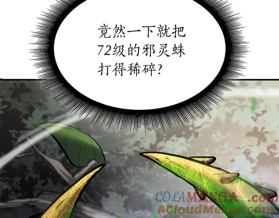 293.jpg