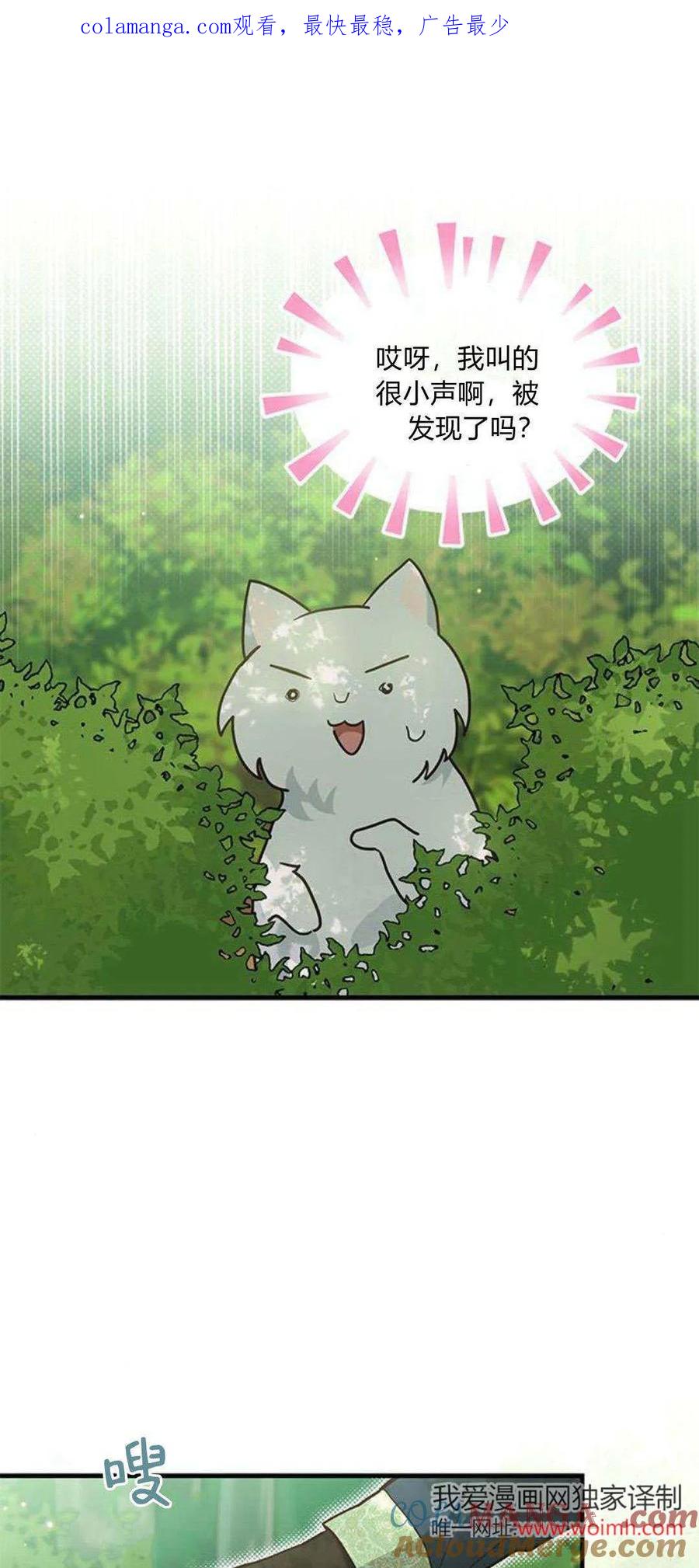 第20话-明明是猫，却被狼族收养了？-노찬주（第1张）