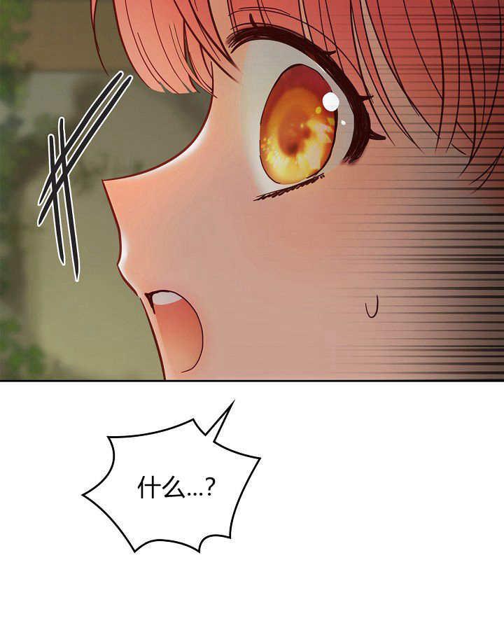68.jpg