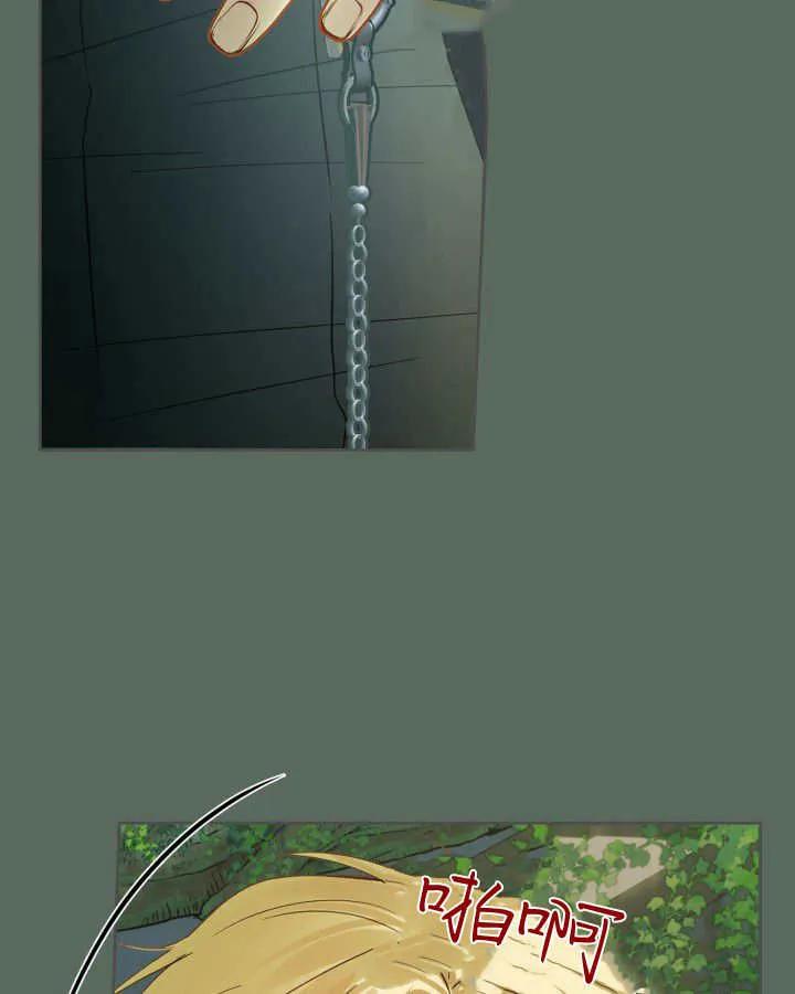 52.jpg