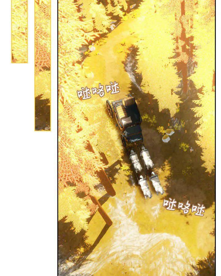55.jpg
