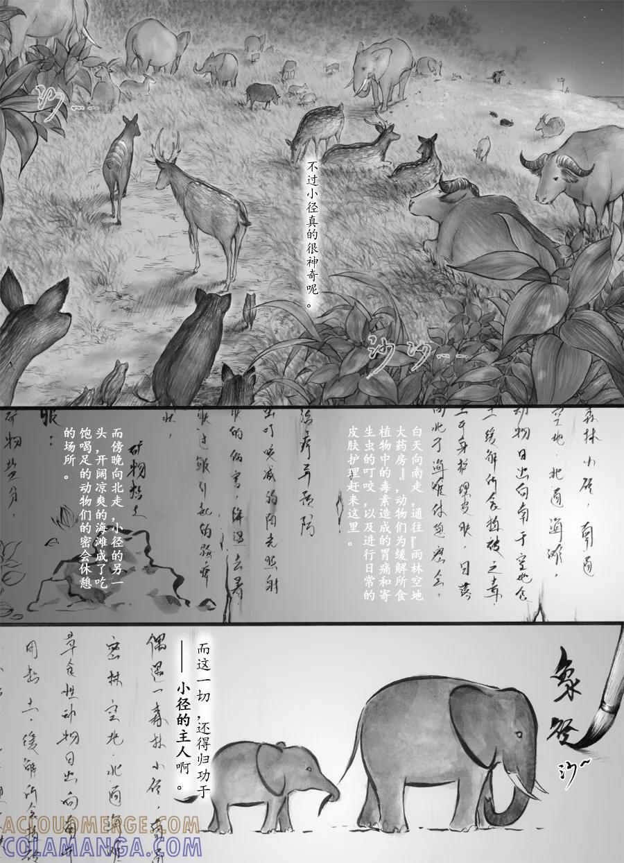 第40话小径6-浮世旅人 飘之篇-有妖气（第5张）