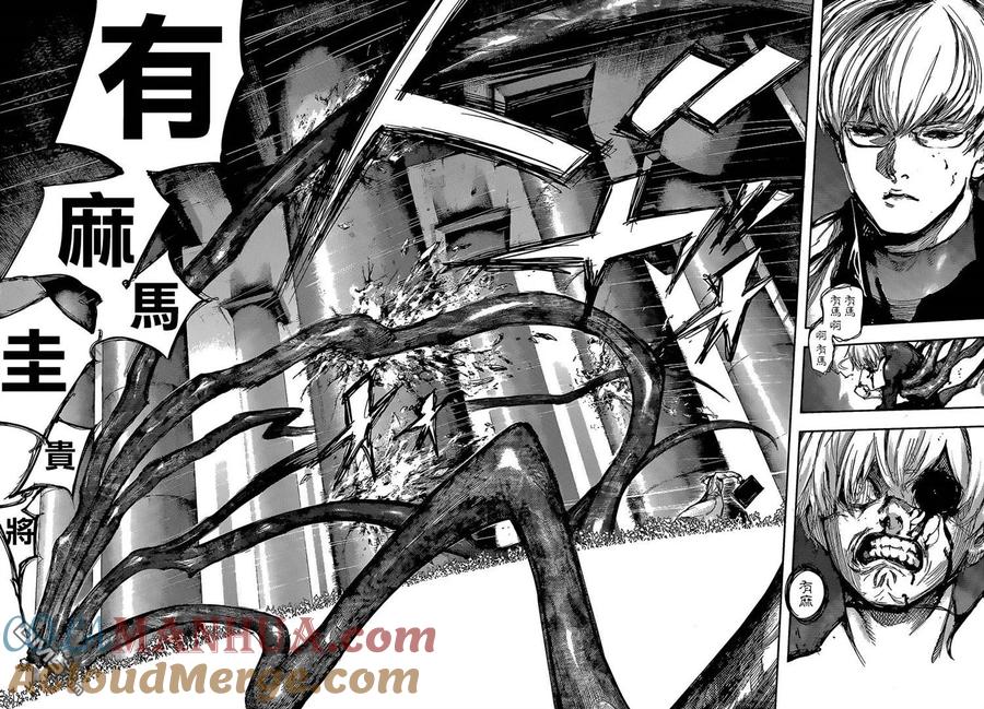 第139话灯火熄灭-东京食尸鬼-石田スイ（第5张）