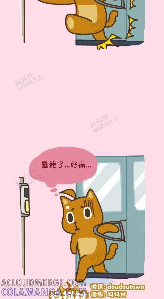 三十九话公交-抖抖村-ddm大王（第3张）