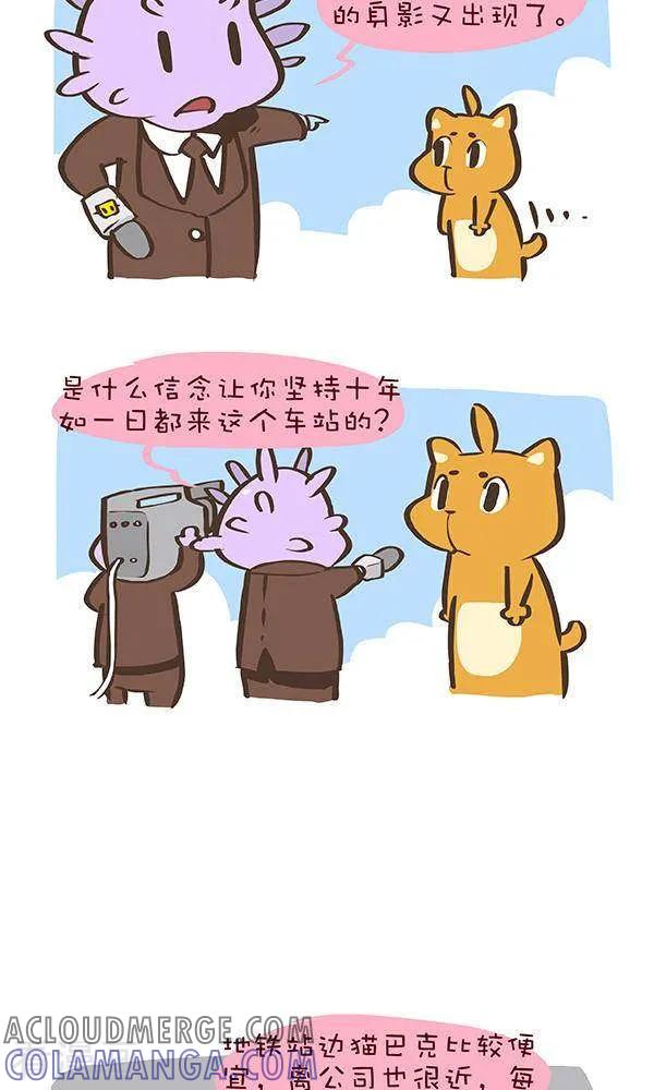 六话忠猫抖抖-抖抖村-ddm大王（第2张）