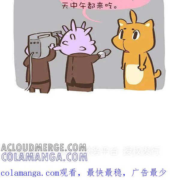 六话忠猫抖抖-抖抖村-ddm大王（第3张）