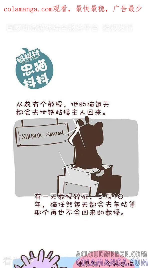 六话忠猫抖抖-抖抖村-ddm大王（第1张）