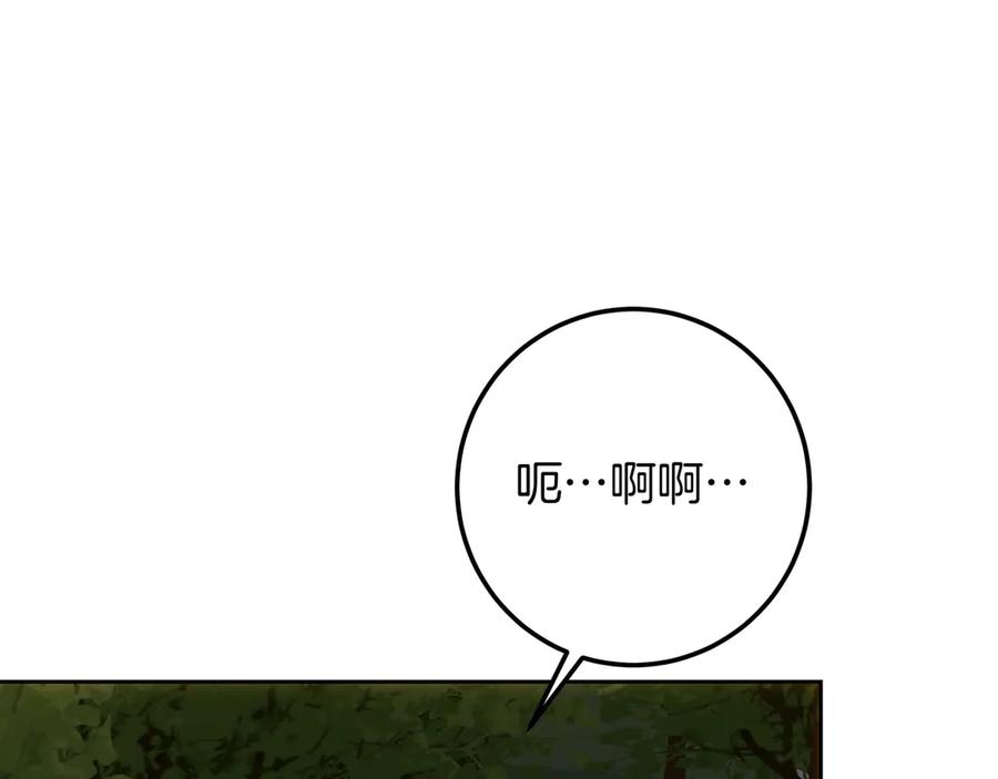 151.jpg