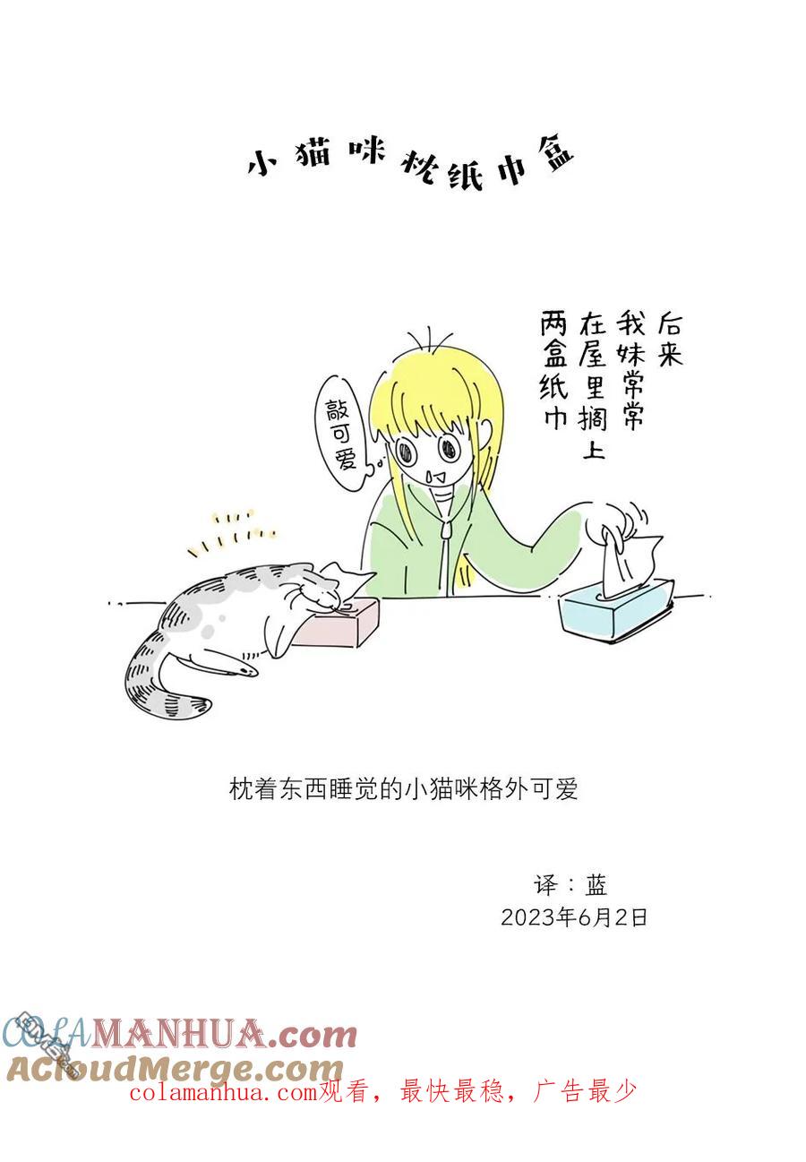 第169话-关于养猫我一直是新手-キュルZ（第3张）