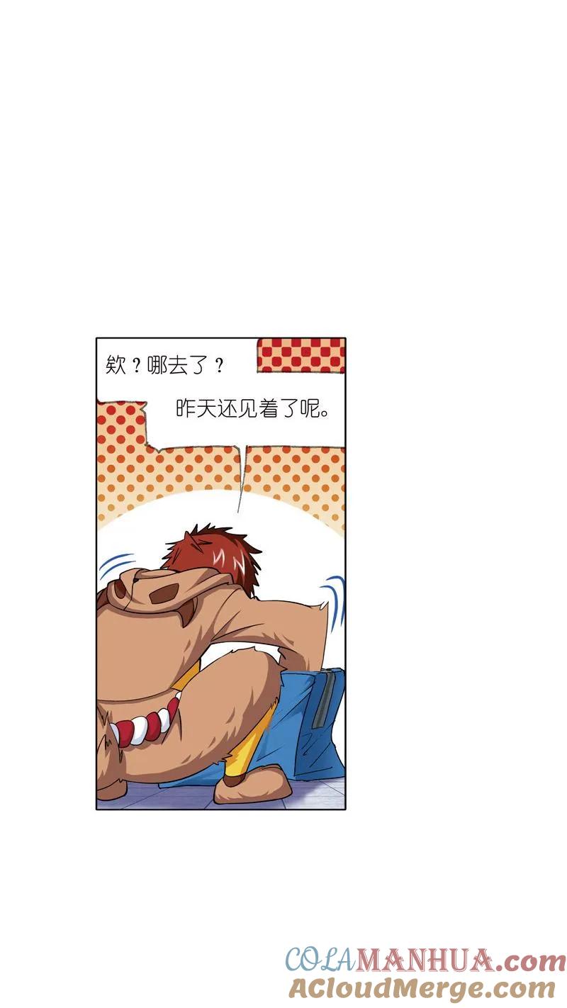 19.jpg