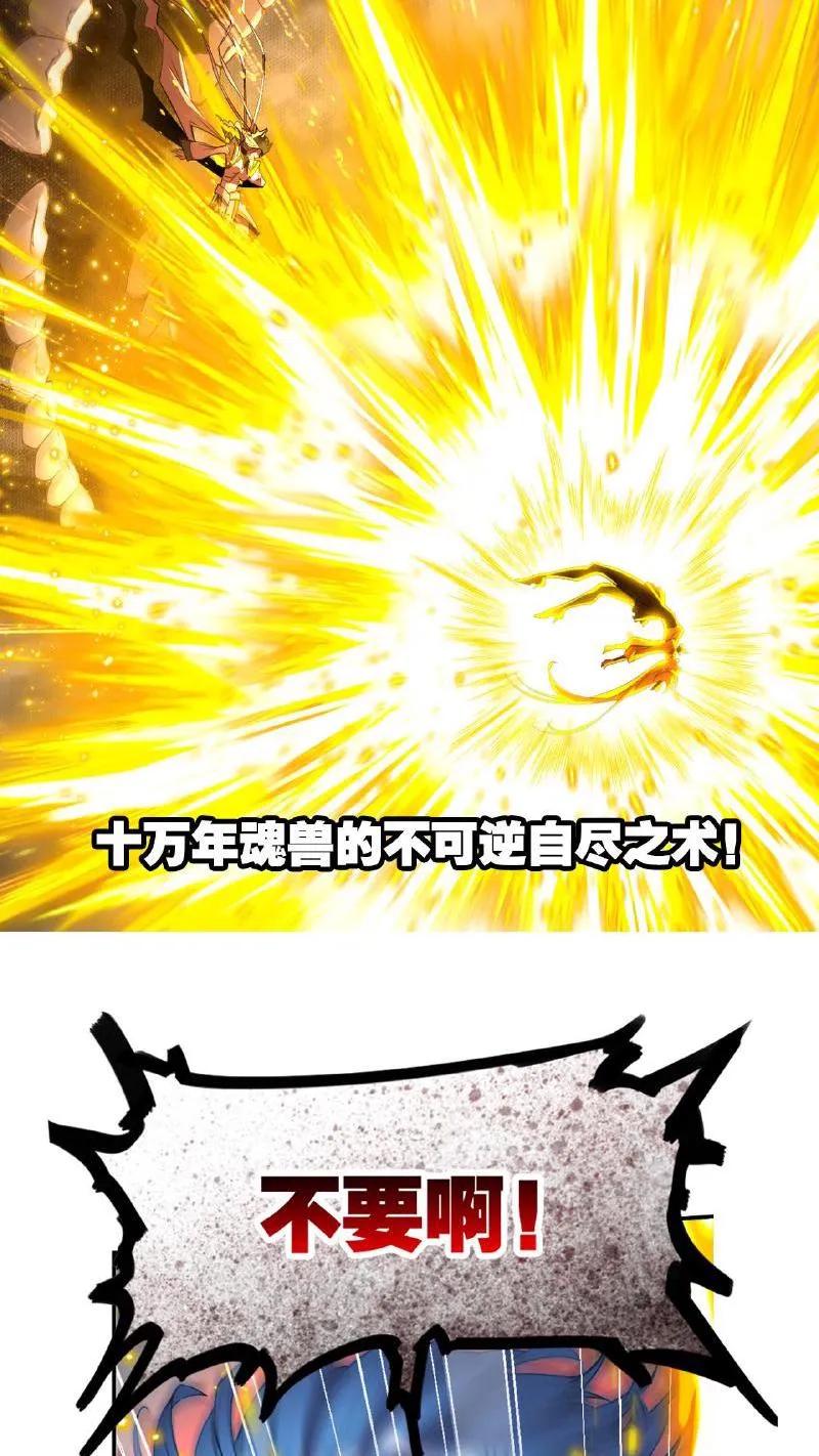 第336话：万兽悲怮（上）-斗罗大陆-风炫文化（第15张）