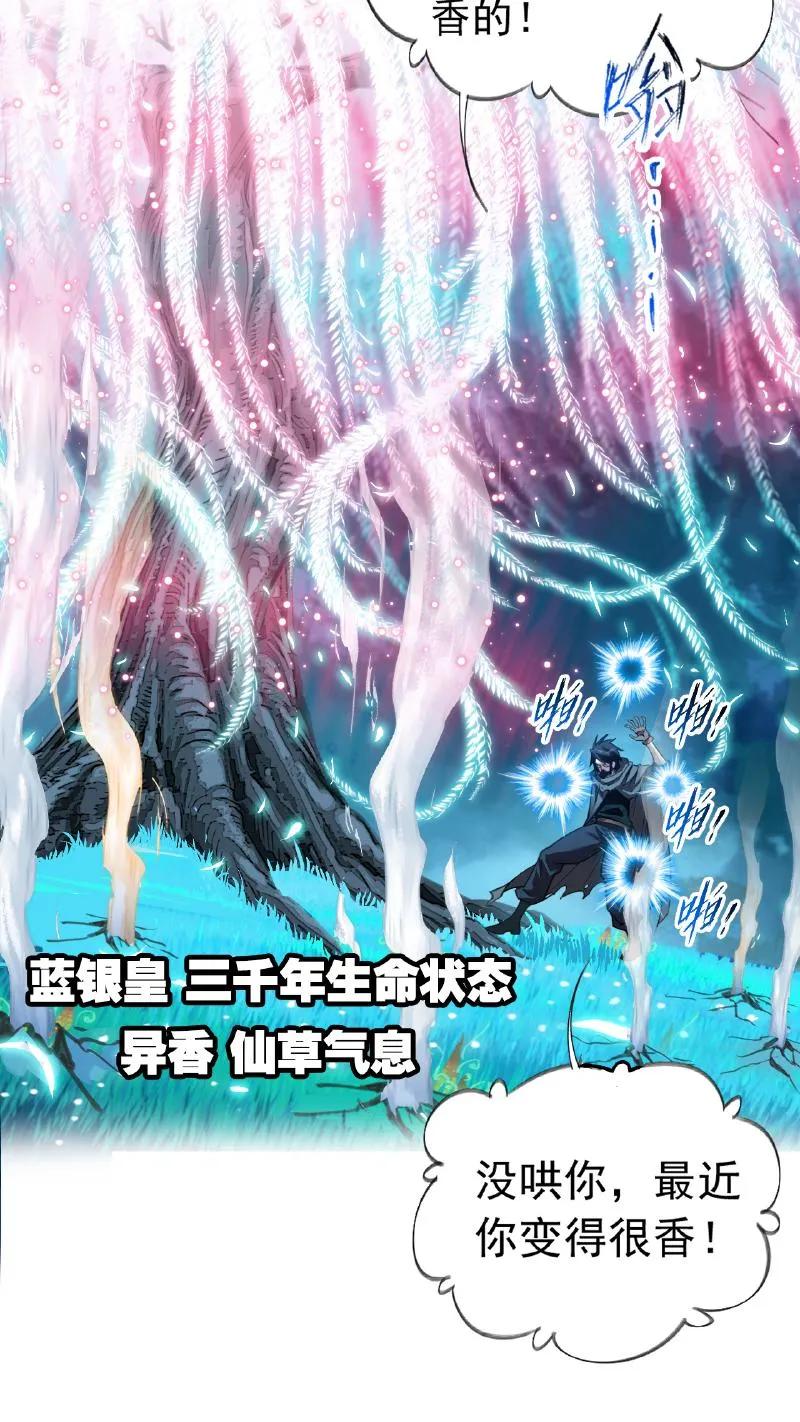 第341话：奉还（下）-斗罗大陆-风炫文化（第8张）