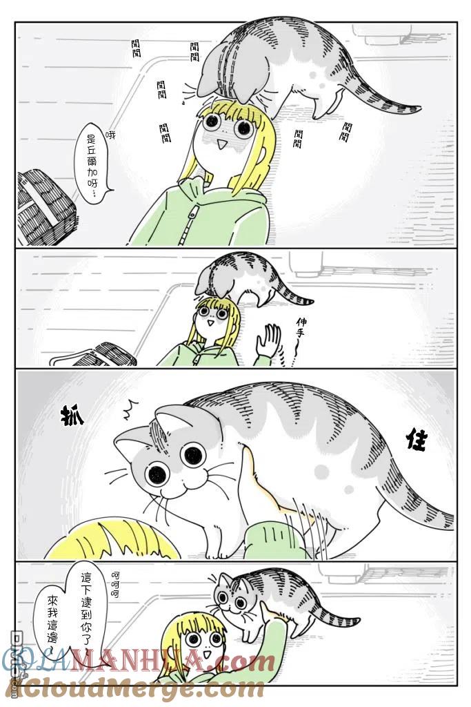 第61话-关于养猫我一直是新手-キュルZ（第1张）