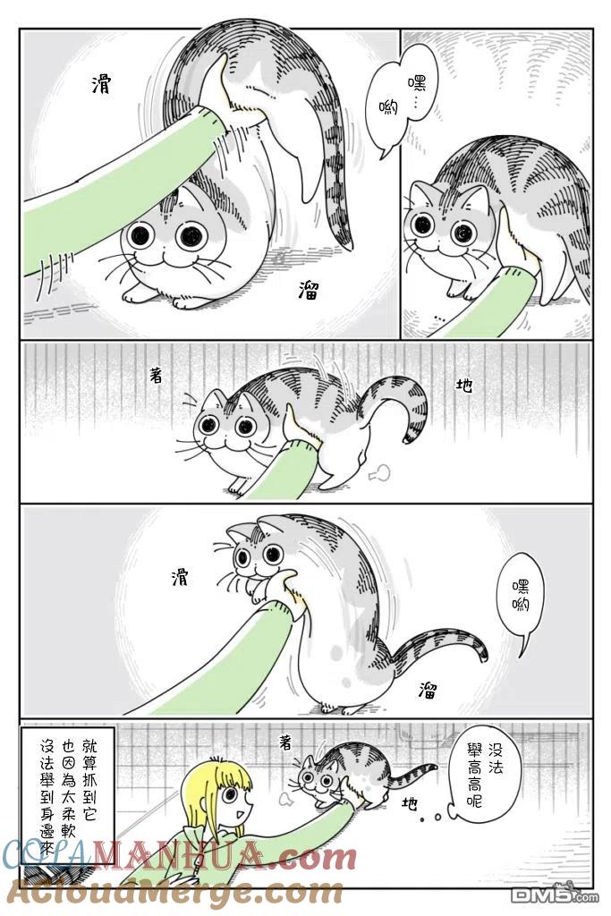 第61话-关于养猫我一直是新手-キュルZ（第2张）