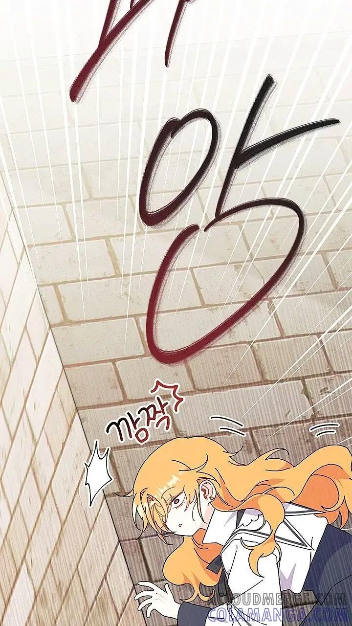 91.jpg