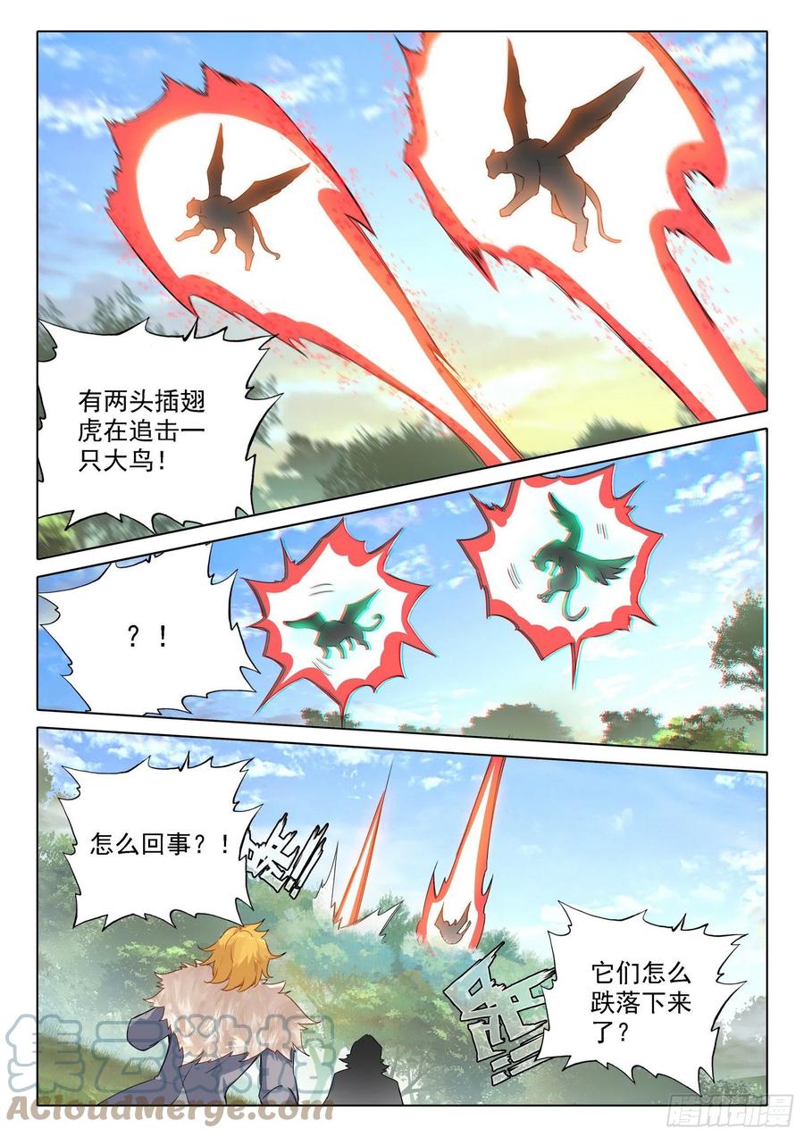 11.jpg