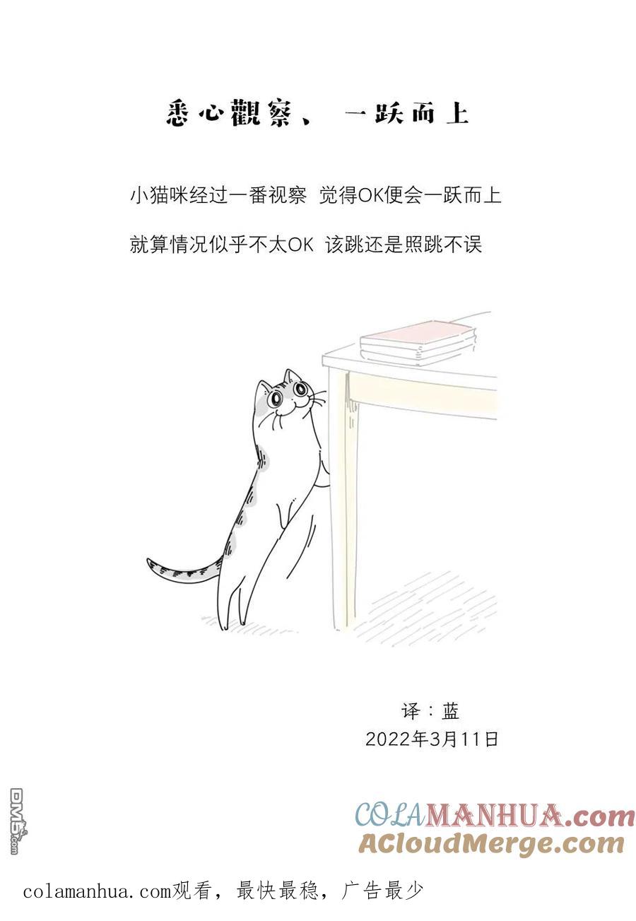 第107话-关于养猫我一直是新手-キュルZ（第2张）