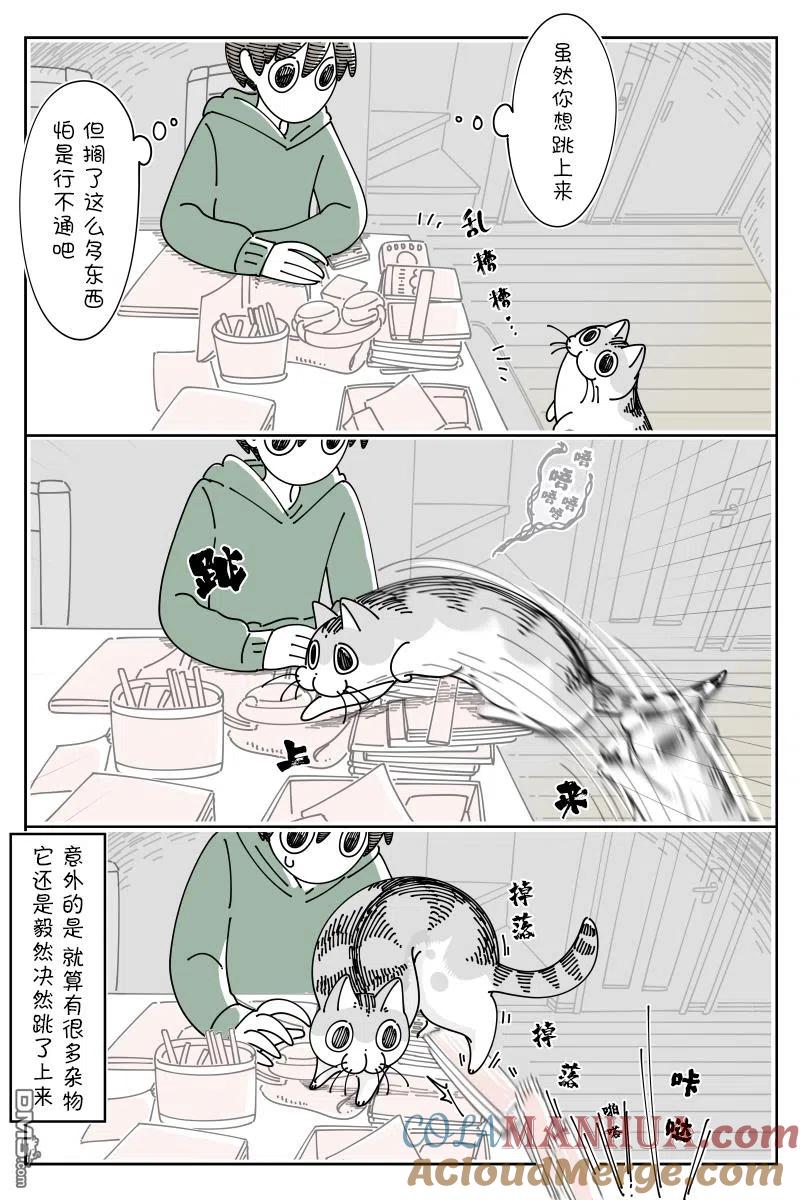 第107话-关于养猫我一直是新手-キュルZ（第1张）
