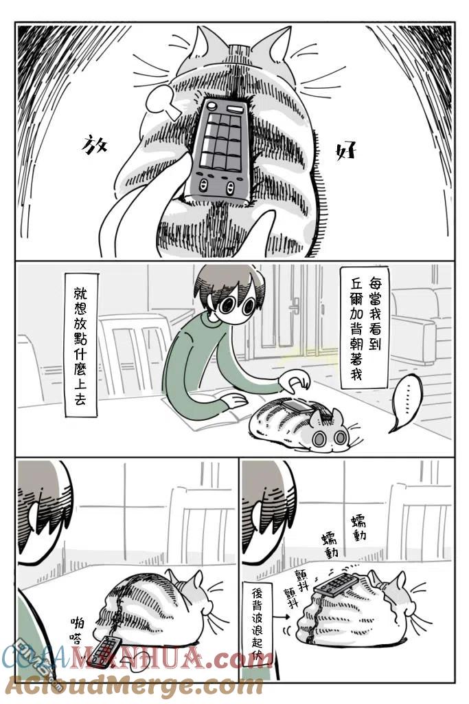 第16话-关于养猫我一直是新手-キュルZ（第1张）