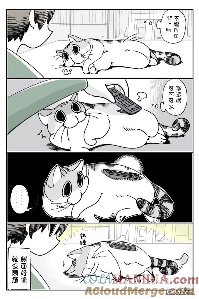 第16话-关于养猫我一直是新手-キュルZ（第3张）