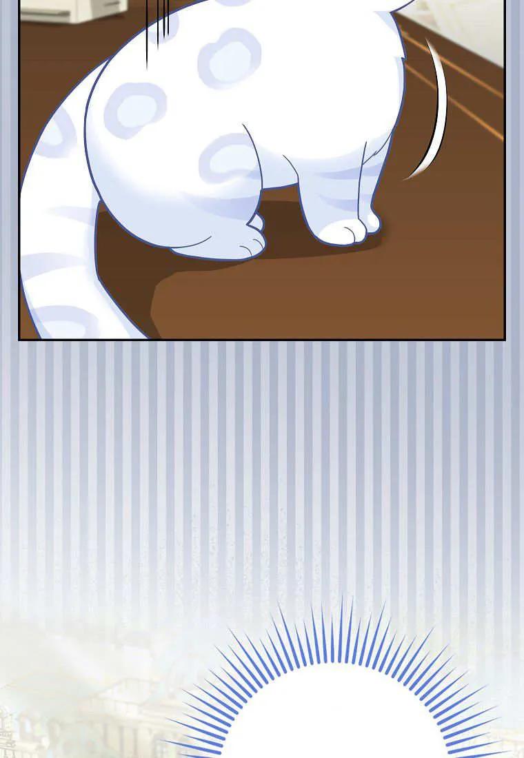 65.jpg