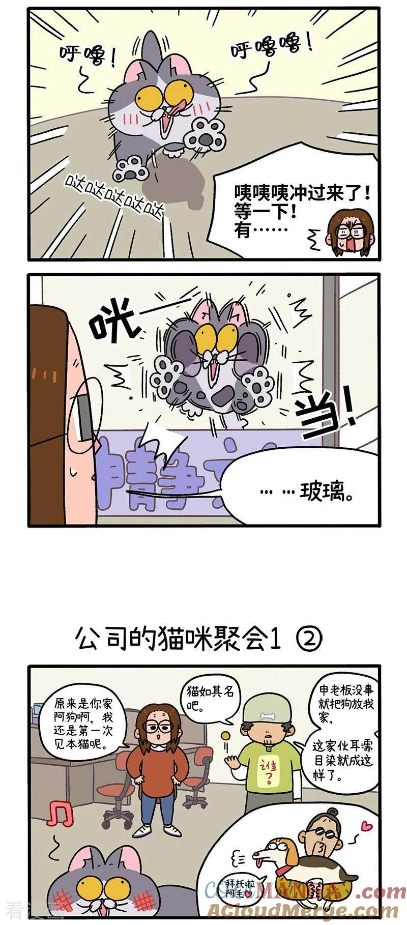 第65话1公司的猫咪聚会-阿满和麦茶-新漫画 日胖大海寺（第2张）