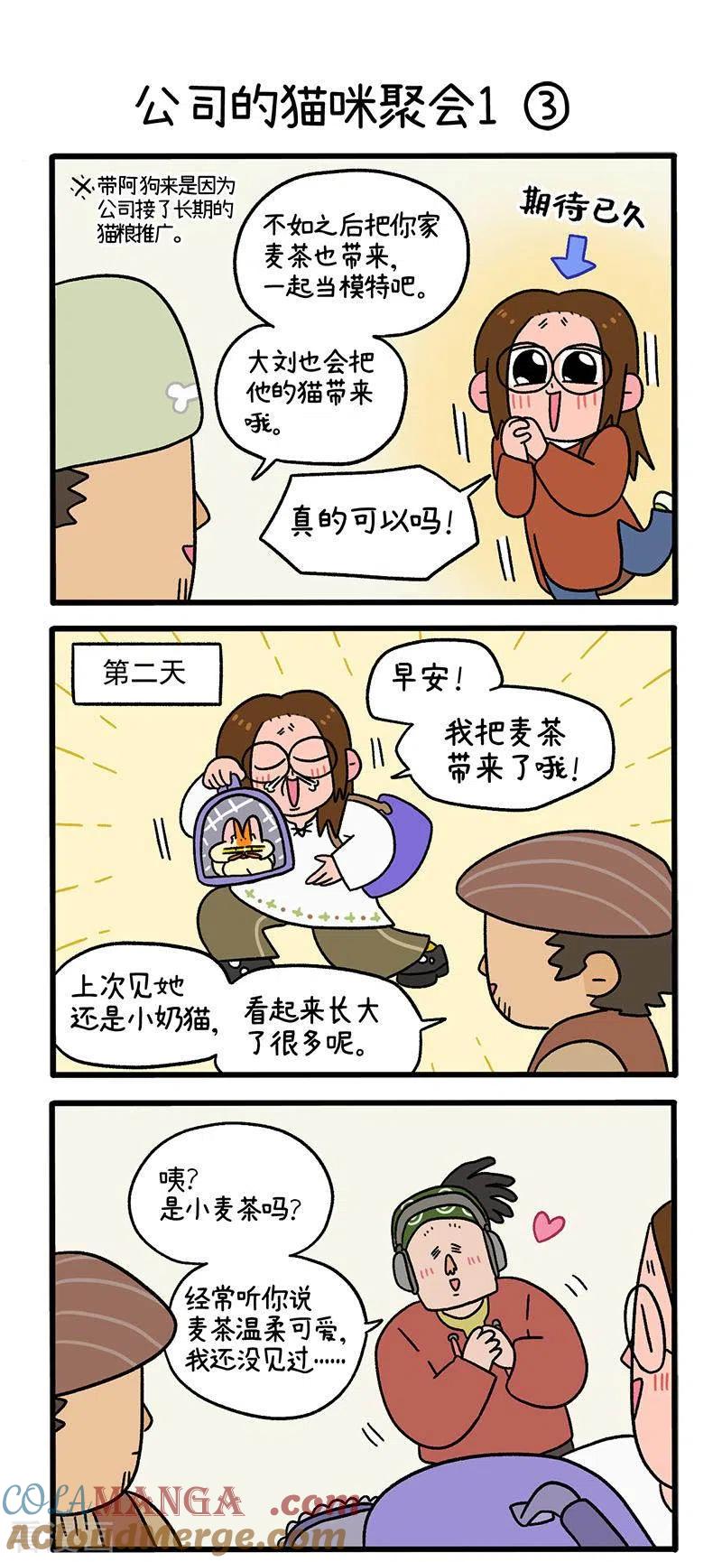 第65话1公司的猫咪聚会-阿满和麦茶-新漫画 日胖大海寺（第4张）